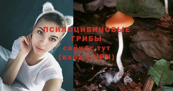 соль ск Балахна
