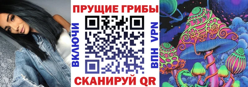 мориарти как зайти  Ногинск  MEGA зеркало  Псилоцибиновые грибы GOLDEN TEACHER  где найти  