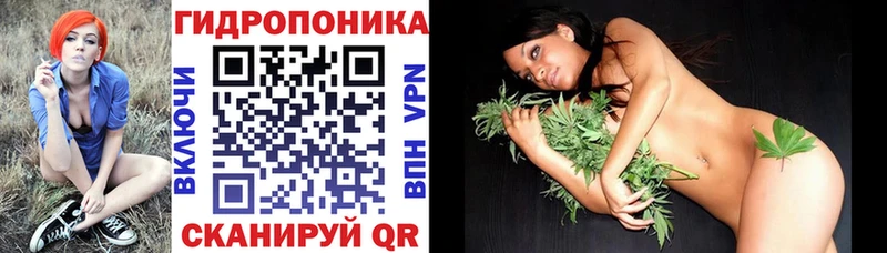 Шишки марихуана ГИДРОПОН  Ногинск 