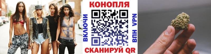 Шишки марихуана марихуана Ногинск